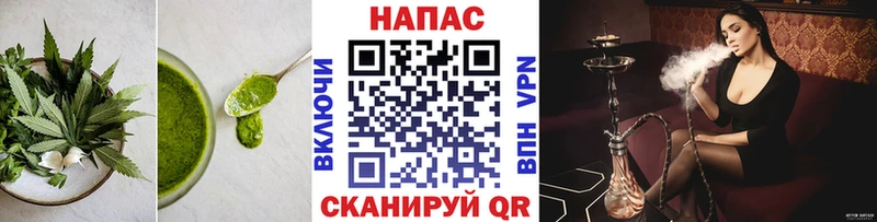 Купить где  Кизилюрт  Cannafood марихуана 
