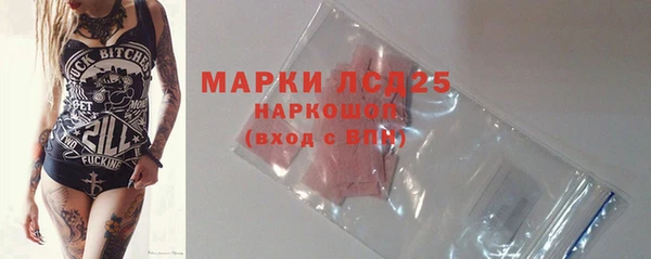 ПСИЛОЦИБИНОВЫЕ ГРИБЫ Арсеньев