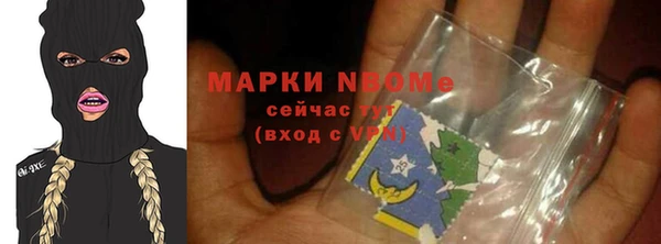 индика Армянск
