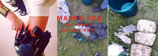 ПСИЛОЦИБИНОВЫЕ ГРИБЫ Арсеньев