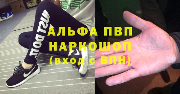 индика Армянск