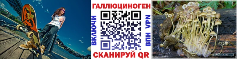 Купить закладки  Кизилюрт  Псилоцибиновые грибы Psilocybine cubensis 